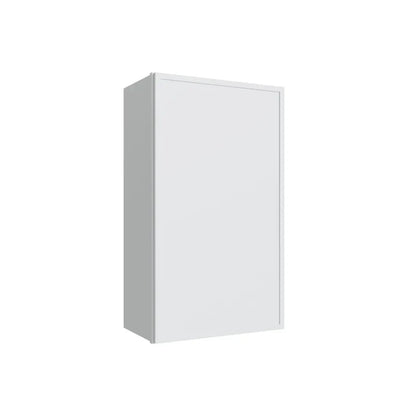 w936-single-door-wall-cabinet-30-36-in-h - OW-W936